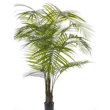 Artificial Areca palm MELMAN, crossdoor, 6ft/175cm Artificial Areca palm MELMAN, crossdoor, 6ft/175cm