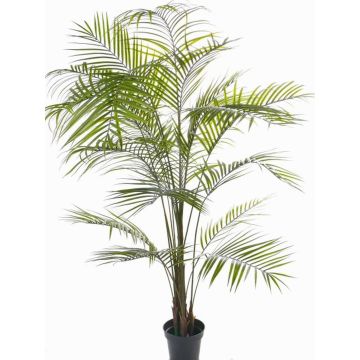Artificial Areca palm MELMAN, crossdoor, 6ft/190cm