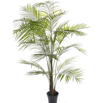 Artificial Areca palm MELMAN, crossdoor, 6ft/190cm Artificial Areca palm MELMAN, crossdoor, 6ft/190cm