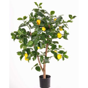 Artificial Lemon tree ZYPRIAN, real stem, with fruits, green, 33"/85cm Artificial Lemon tree ZYPRIAN, real stem, with fruits, green, 33"/85cm