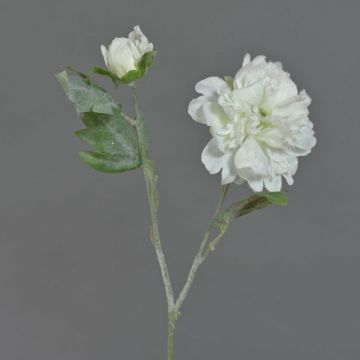 Artificial peony MALINE, with snow, cream, 24"/60cm, Ø4.7"/12cm Artificial peony MALINE, with snow, cream, 24"/60cm, Ø4.7"/12cm