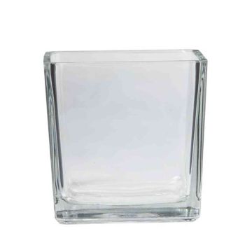 Glass planter KIM OCEAN, clear, 5.5"x5.5"x5.5"/14x14x14cm Glass planter KIM OCEAN, clear, 5.5"x5.5"x5.5"/14x14x14cm