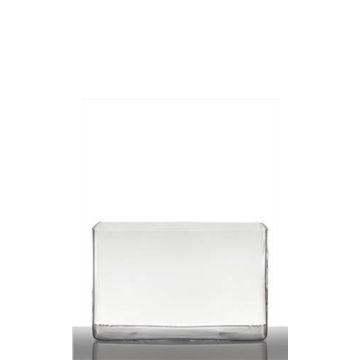 Glass pot for plants MIRJA, clear, 8"x6.3"x5.5"/20x16x14cm