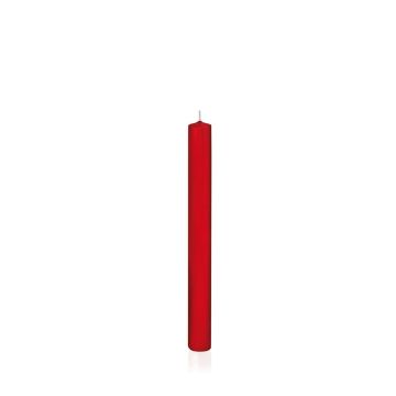Household candle TARALEA, red, 10"/25cm, Ø0.9"/2,3cm, 14h - Made in Germany