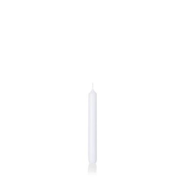 White table candle CHARLOTTE, 7.3"/18,5cm, Ø0.8"/2,1cm, 6,5h - Made in Germany