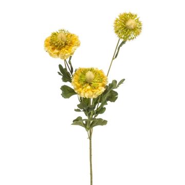 Artificial branch Scabious caucasica ANAYS, yellow-green, 31"/80cm Artificial branch Scabious caucasica ANAYS, yellow-green, 31"/80cm
