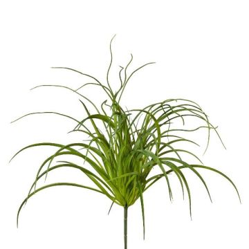 Artificial grass Seagrass DELVI on spike, bushy, green, 20"/50cm