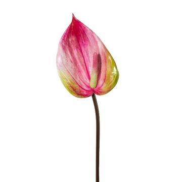 Artificial flower Anthurium GRUNT, pink, 30"/75cm Artificial flower Anthurium GRUNT, pink, 30"/75cm