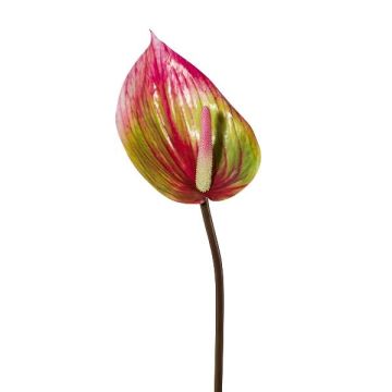 Artificial flower Anthurium GRUNT, green-pink, 30"/75cm Artificial flower Anthurium GRUNT, green-pink, 30"/75cm