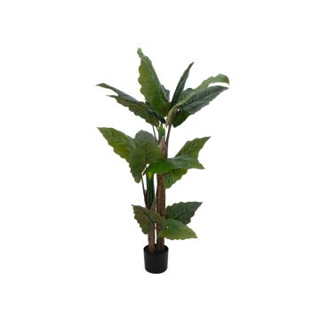 Artificial plant Alocasia Calidora PATRICIUS, green, 5ft/140cm