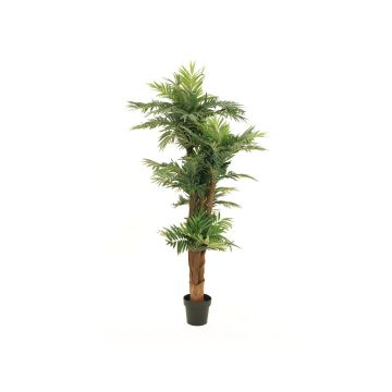 Artificial areca palm CYNTHIA, 6ft/170cm Artificial areca palm CYNTHIA, 6ft/170cm