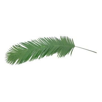 Artificial coconut palm frond GLORINA, 6ft/180cm