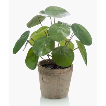 Artificial Pilea peperomioides SYBIL in terracotta pot, green, 8"/20cm