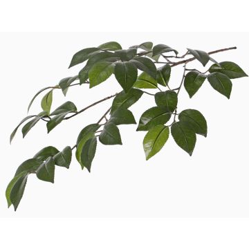 Fake camellia branch RAVEN, green, 28"/70cm Fake camellia branch RAVEN, green, 28"/70cm