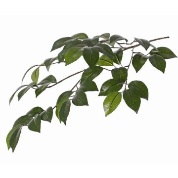 Fake camellia branch RAVEN, green, 28"/70cm Fake camellia branch RAVEN, green, 28"/70cm
