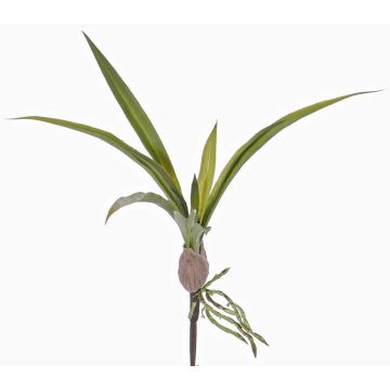 Fake oncidium orchid leaves HENNES, aerial roots, 10"x16"/25x40cm Fake oncidium orchid leaves HENNES, aerial roots, 10"x16"/25x40cm