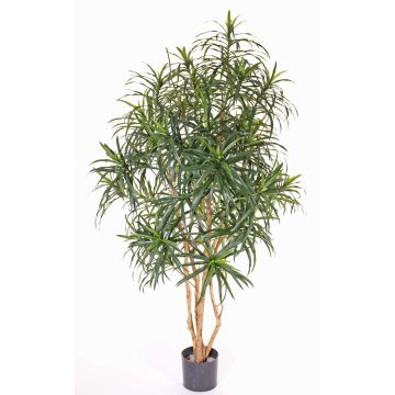 Fake dracaena reflexa PHILOMENA, real trunks, green, 5ft/160cm