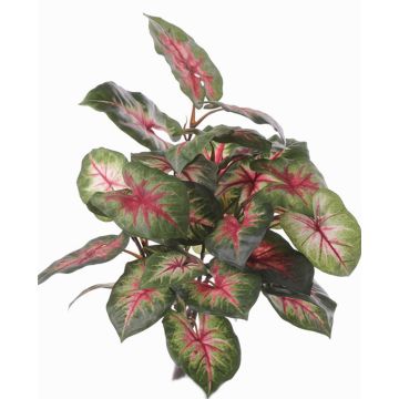 Fake caladium SEVERIN on spike, green-red, 16"/40cm Fake caladium SEVERIN on spike, green-red, 16"/40cm