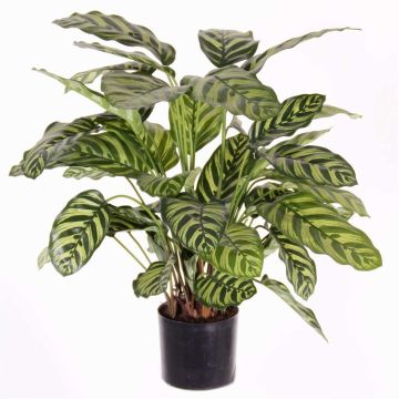 Artificial calathea makoyana GODE, green-yellow, 26"/65cm Artificial calathea makoyana GODE, green-yellow, 26"/65cm