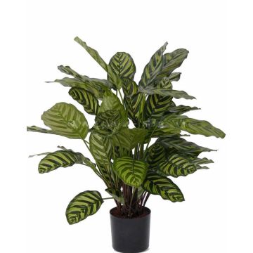 Artificial calathea makoyana GODE, green-yellow, 26"/65cm