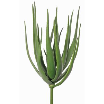Artificial aloe vera LAURENA, green, 26"/65cm, Ø10"/25cm Artificial aloe vera LAURENA, green, 26"/65cm, Ø10"/25cm