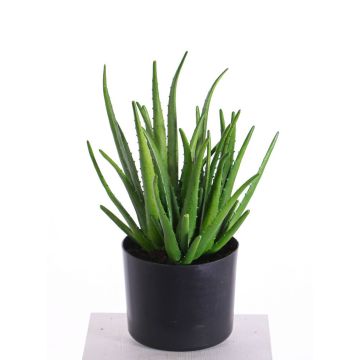 Artificial aloe vera LAURENA, green, 26"/65cm, Ø10"/25cm Artificial aloe vera LAURENA, green, 26"/65cm, Ø10"/25cm