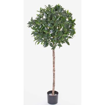 Fake cherry laurel ball ALEXIOS, real trunk, fruits, 5ft/145cm, Ø24"/60cm Fake cherry laurel ball ALEXIOS, real trunk, fruits, 5ft/145cm, Ø24"/60cm