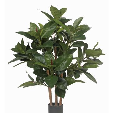 Fake rubber tree KAYDEN, natural trunks, green, 31"/80cm Fake rubber tree KAYDEN, natural trunks, green, 31"/80cm