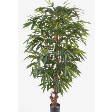 Fake longifolia MARLIT, natural trunk, 6ft/180cm Fake longifolia MARLIT, natural trunk, 6ft/180cm
