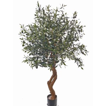 Artificial olive tree ISAAC, artificial trunk, fruits, 5ft/160cm