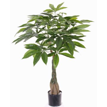 Fake pachira CASSIAN, fake trunk, 35"/90cm Fake pachira CASSIAN, fake trunk, 35"/90cm