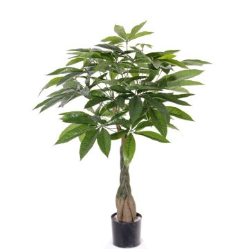 Fake pachira CASSIAN, fake trunk, 3ft/90cm Fake pachira CASSIAN, fake trunk, 3ft/90cm