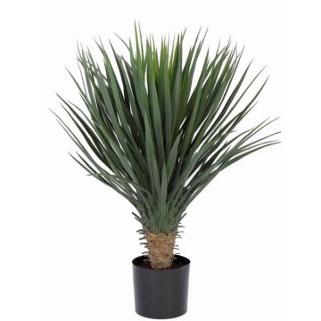 Fake yucca rostrata DRAKE, 31"/80cm