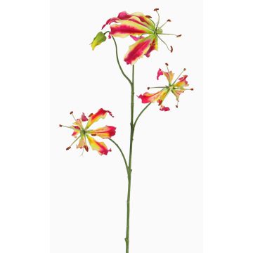 Fake gloriosa TIANA, pink-green, 31"/80cm, Ø3.1"-6"/8-15cm