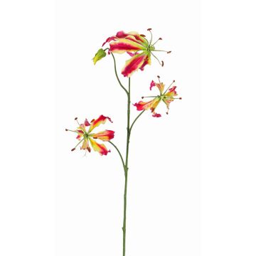 Fake gloriosa TIANA, pink-green, 31"/80cm, Ø3.1"-6"/8-15cm