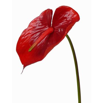 Silk flamingo flower MOIRA, red, 30"/75cm, 5.1"x8"/13x20cm