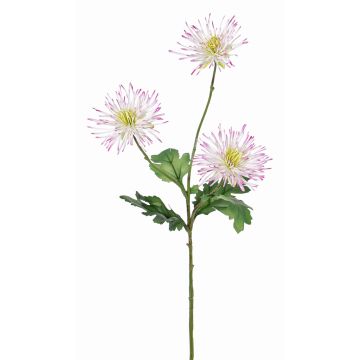Fake chrysanthemum SOLVIE, white-pink, 28"/70cm, Ø4"/10cm