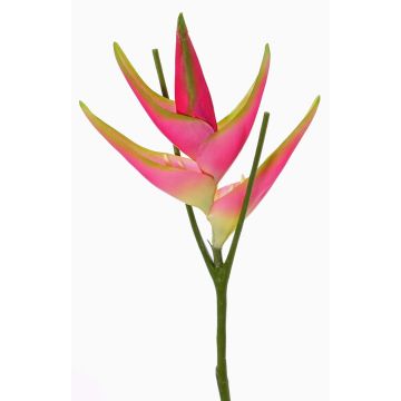 Artificial heliconia flower TOMKE, pink-green, 31"/80cm, Ø12"/30cm