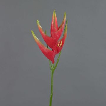 Artificial heliconia flower TOMKE, red-green, 31"/80cm, Ø12"/30cm Artificial heliconia flower TOMKE, red-green, 31"/80cm, Ø12"/30cm