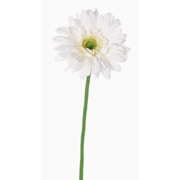 Silk gerbera HELLI, cream, 26"/65cm, Ø4.7"/12cm