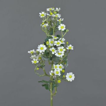 Artificial feverfew FEMKE, white, 24"/60cm, Ø0.6"-0.8"/1,5-2cm