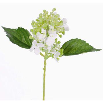 Artificial hydrangea CHABY, white-green, 12"/30cm, Ø3.5"/9cm