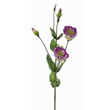 Artificial lisianthus JUDIKA, violet-green, 28"/70cm, Ø2"/5cm
