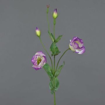 Artificial lisianthus JUDIKA, violet-green, 28"/70cm, Ø2"/5cm