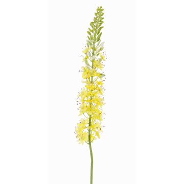 Plastic foxtail lilies SELINA, yellow-orange, 3ft/105cm, Ø3.5"/9cm