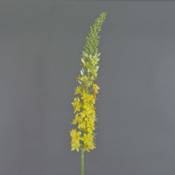 Plastic foxtail lilies SELINA, yellow, 3ft/105cm, Ø3.5"/9cm Plastic foxtail lilies SELINA, yellow, 3ft/105cm, Ø3.5"/9cm