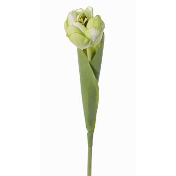 Artificial tulip ROMANA, green-white, 18"/45cm, Ø2.4"/6cm
