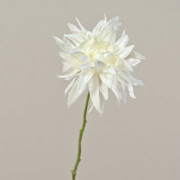 Fake dahlia SMILA, cream, 22"/55cm, Ø4.7"/12cm