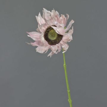 Silk sunflower JANIKA, light pink, 24"/60cm, Ø4.7"/12cm Silk sunflower JANIKA, light pink, 24"/60cm, Ø4.7"/12cm