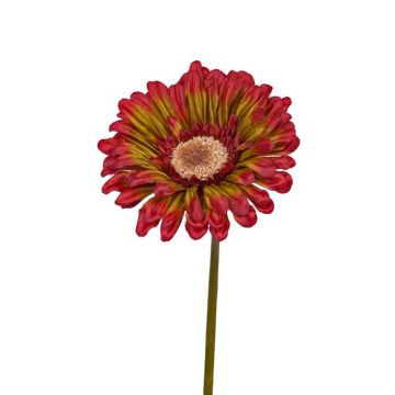 Artificial gerbera ANNEMARIE, red-green, 20"/50cm, Ø4"/10cm Artificial gerbera ANNEMARIE, red-green, 20"/50cm, Ø4"/10cm
